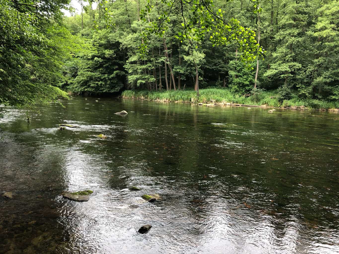 Thayatal Wilderness-15965.JPG