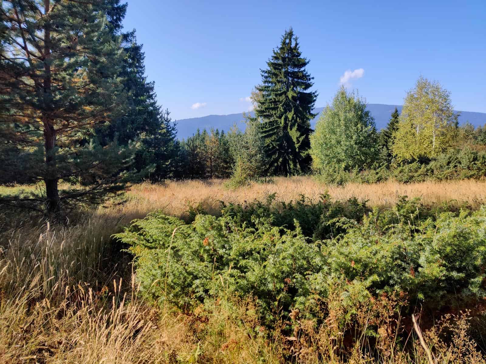 Mantaritza reserve-30250.jpg