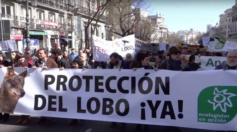Wolf-protest-Spain.jpg