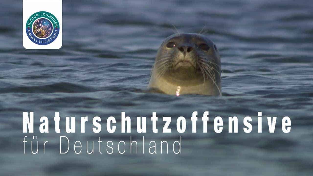 Short film for more wilderness in Germany