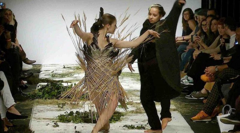 Wilderness Arts, Fashion and Dance