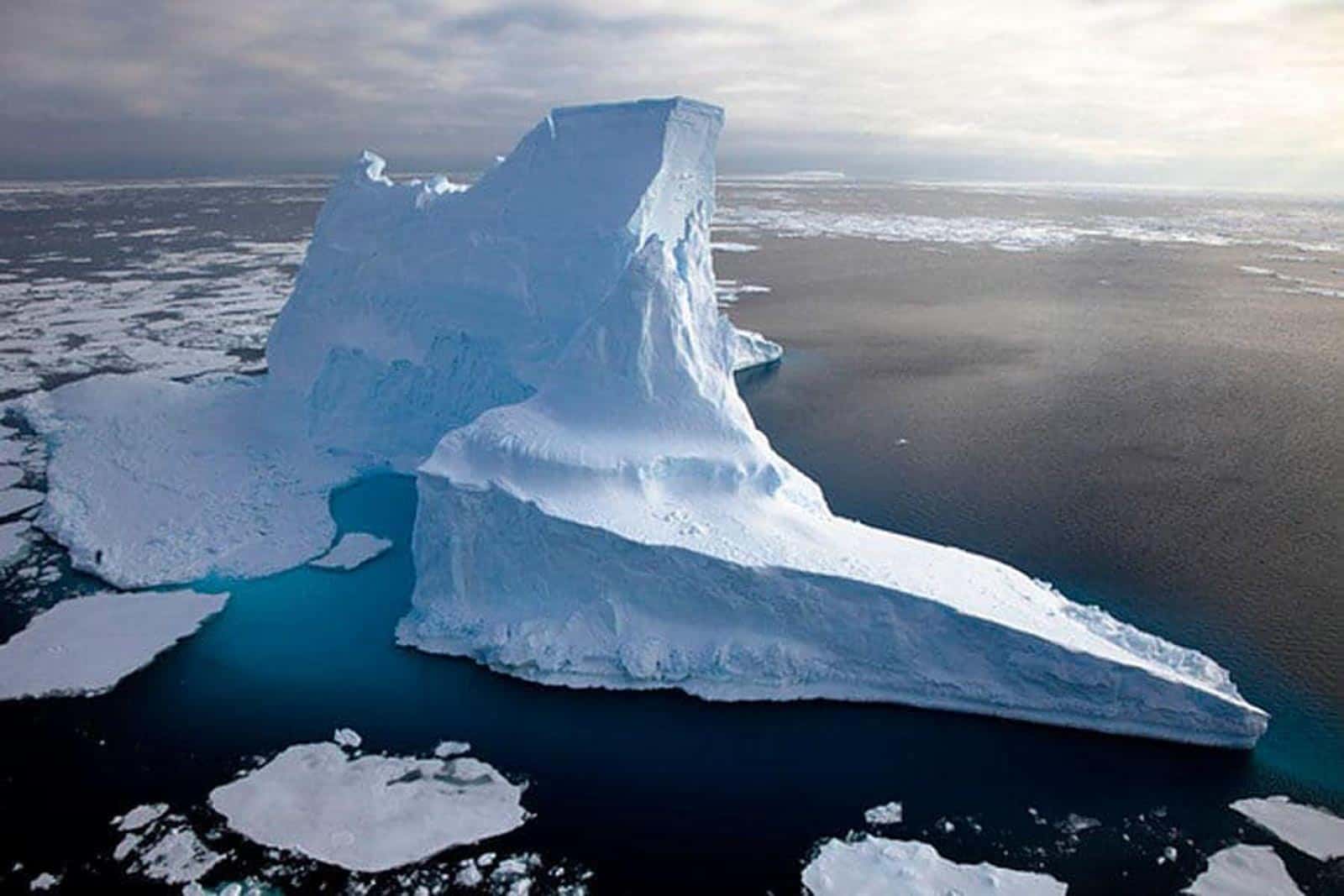 big-hope-for-antarctica-world-s-largest-marine-reserve-created.jpg