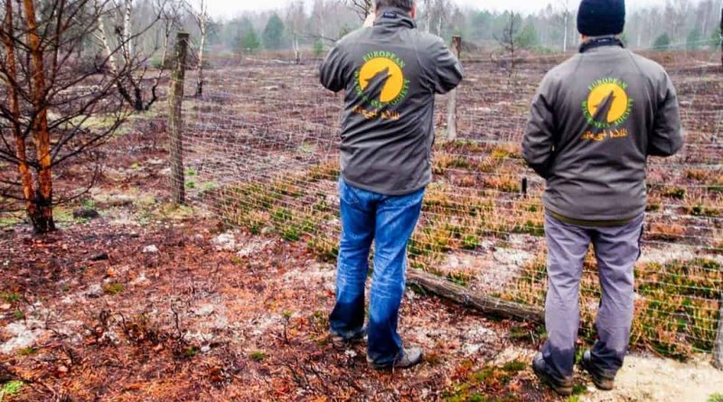 11 Meetings in 3 countries: Busy weeks before christmas