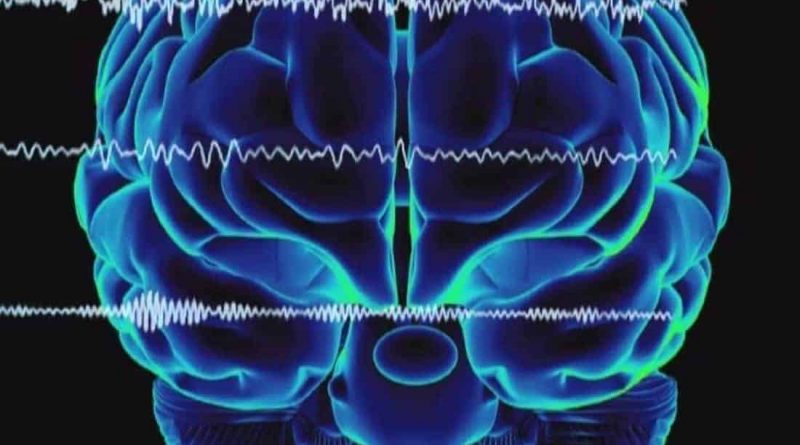 Our brain needs wilderness!