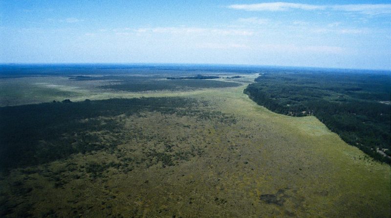 Cepkeliai Wilderness - 00001.jpg