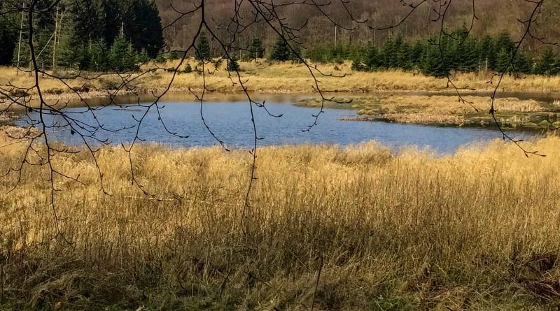 Jasmund National Park-3352.jpg