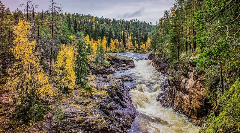 Oulanka National Park-1.jpg