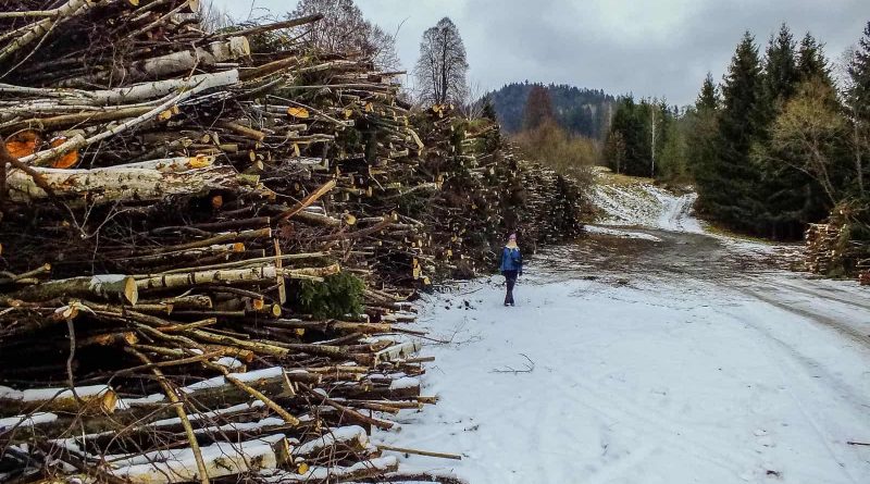 Slovakia, Muranska Planina 0815.JPG