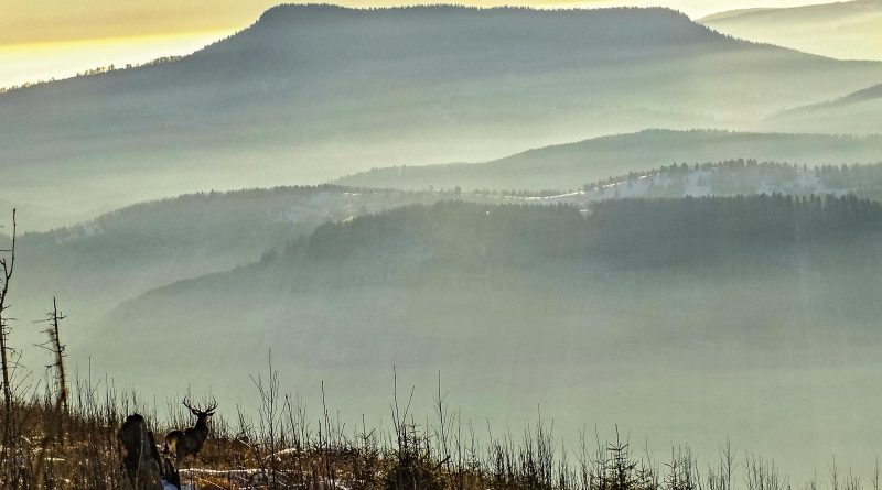 Slovakia, Muranska Planina 0816.JPG