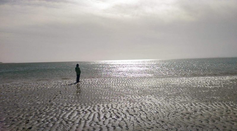 WILDCoast Amrum North Sea-4484.jpg
