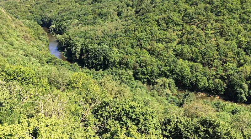 Podyji National Park 0050.jpg