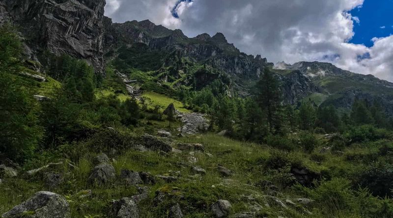 Hohe Tauern WIlderness Exkursion 2017 0008.jpg