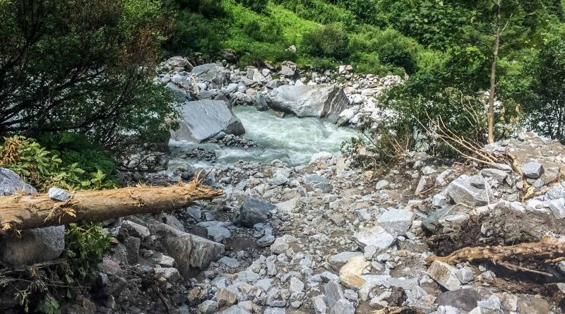 Hohe Tauern WIlderness Exkursion 2017 0047.jpg