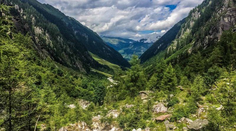 Hohe Tauern WIlderness Exkursion 2017 0054.jpg