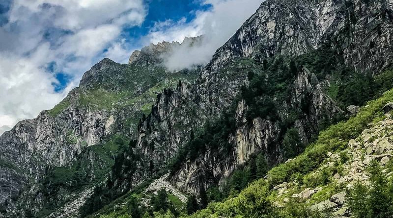 Hohe Tauern WIlderness Exkursion 2017 0078.jpg