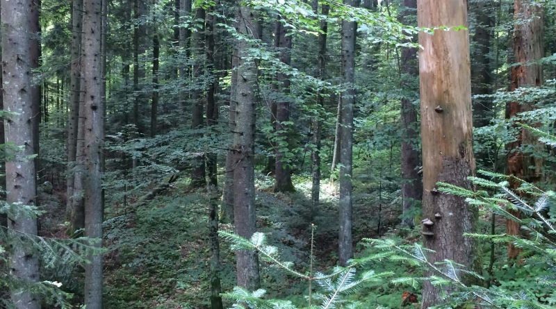 Ukraine Sanitary Logging Analysis 0161.jpg