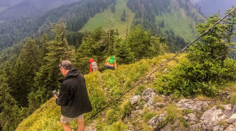 Kalkalpen Wilderness Exkursion 2017 0022.jpg