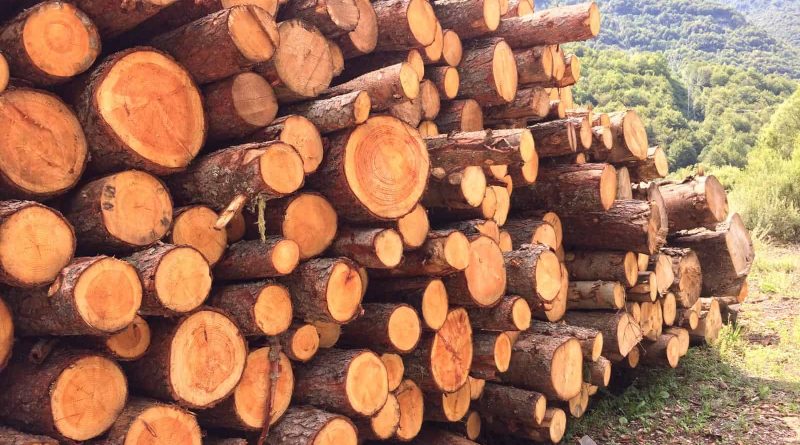 Tagliamento WILDRiver Italy 0036.jpg