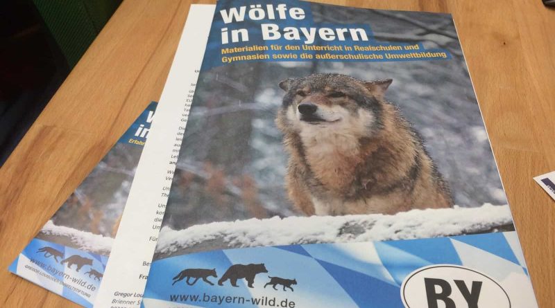 Foto 11-09-17 18 11 57.jpg