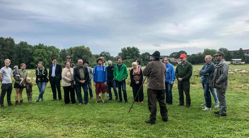 Herd protection dogs 0054.JPG