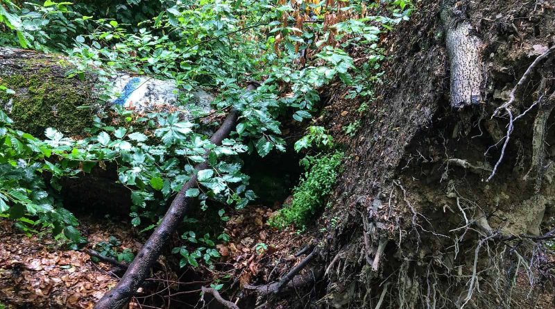 Uholka Wilderness Mala - 00179.jpg