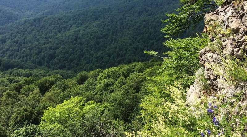 Uholka Wilderness Mala - 00196.jpg