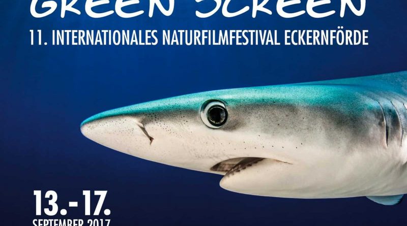 green screen 2017.jpg