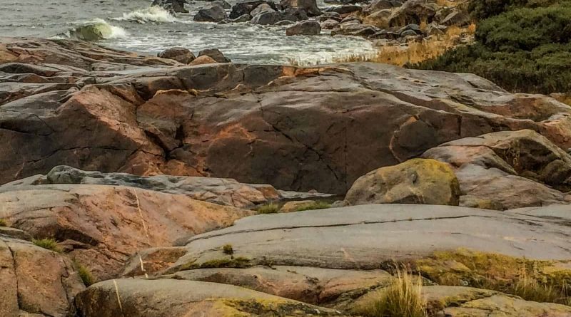 2017-10-14 12.17.48.jpg