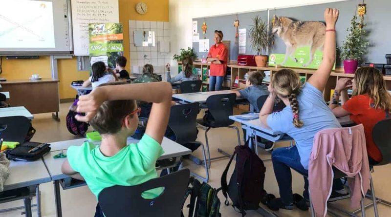 Lets get Wild NIMS Tamsweg - © All rights reserved