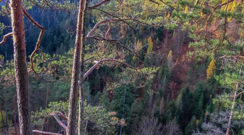 Slovensky Raj, Slovakia - European Wilderness Society - 00075-97.jpg