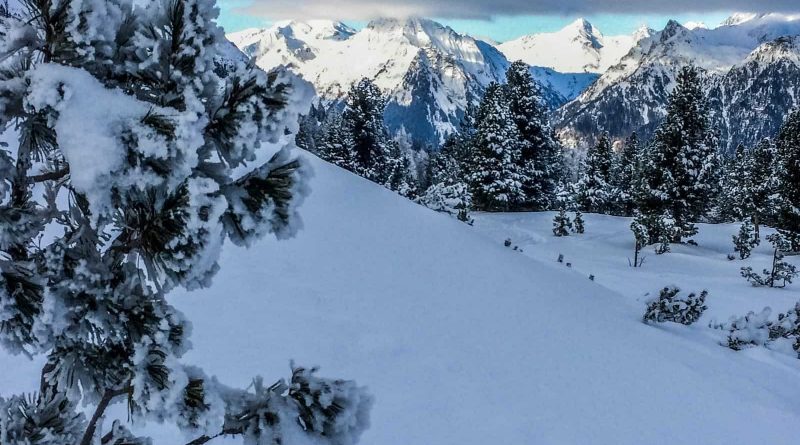 2017-12-02 14.46.17.jpg