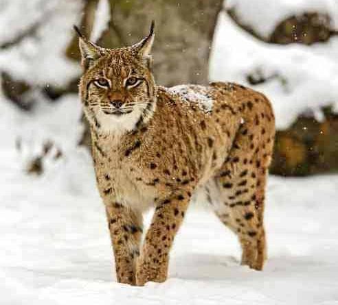 EWS - Fotolia -06509_