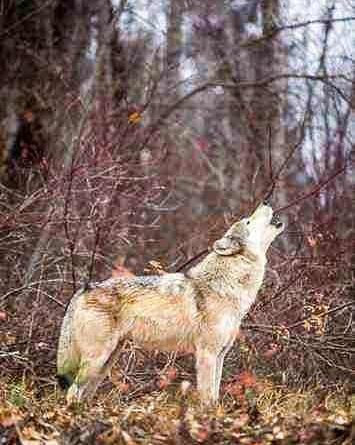 EWS - Fotolia -04743_