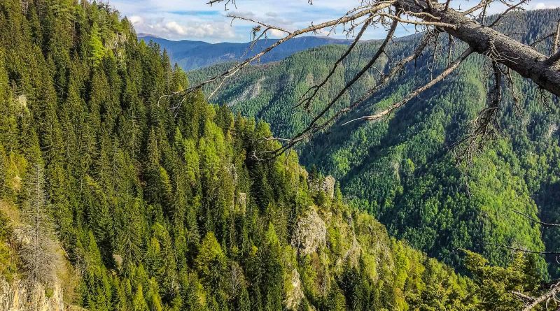 2017-05-11 17.22.22.jpg