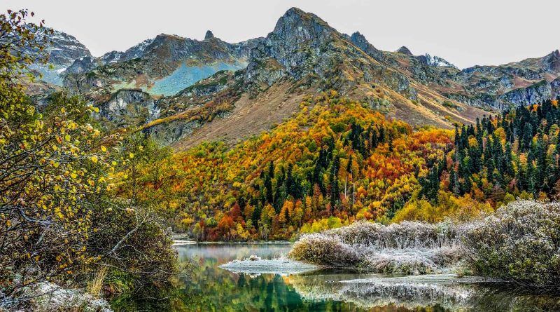 WILDArt Areas of Inspiration-14483.jpg