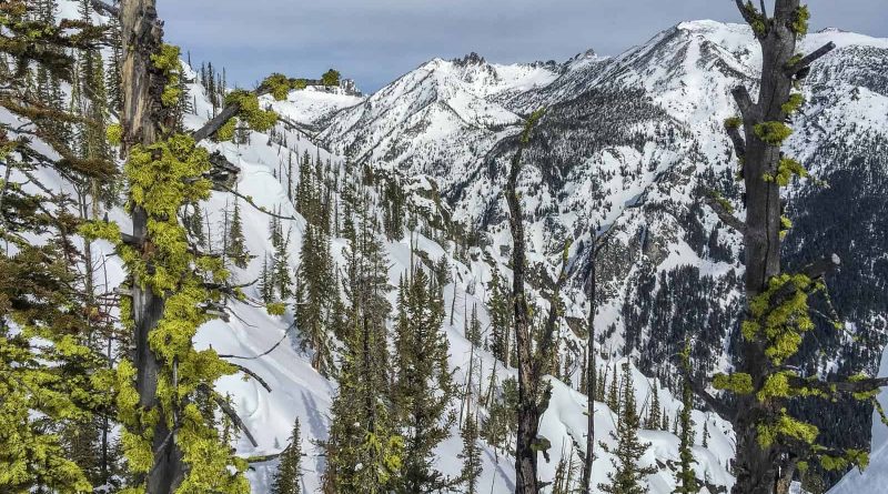 European Wilderness Society USA Visit-15146.jpeg