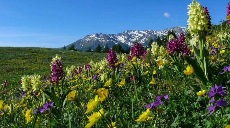 Italy Otino-15128.jpg