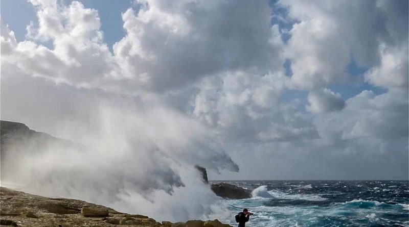 WILDArt Synevyr - 16407.jpeg