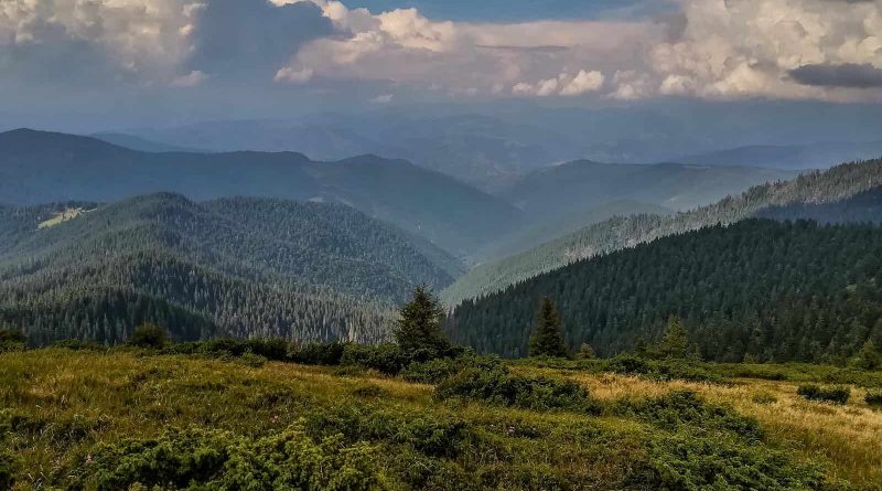 Maramarosh Wilderness Carpathian Biosphere Reserve-19590.jpg