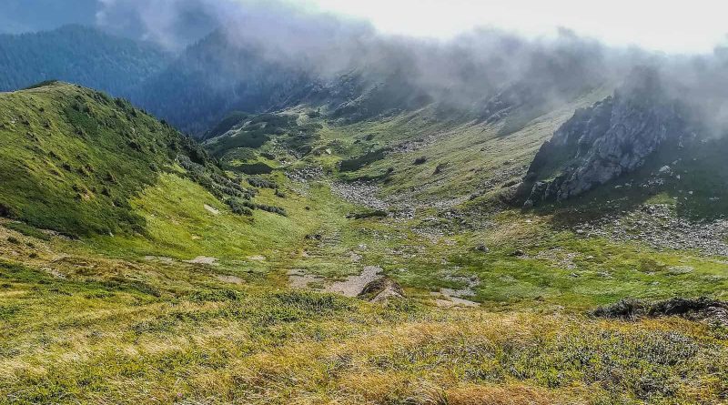 Maramarosh Wilderness Carpathian Biosphere Reserve-19696.jpg