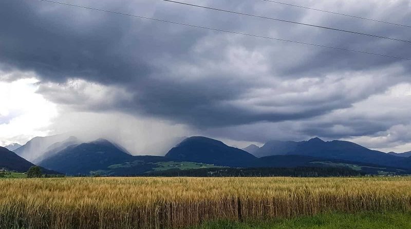 Rebecca Wilderness Diary-16879.jpg