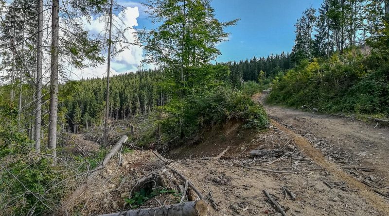 Svydovets Wild Area Ski Resort-20068.jpg