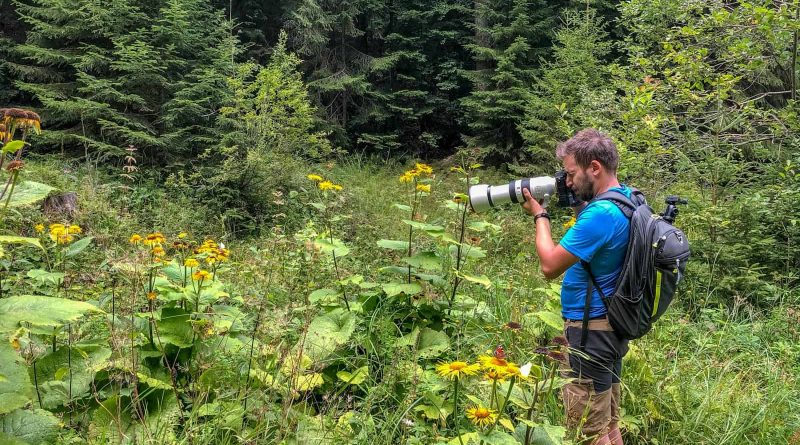 WILDArt Synevyr - 19140.jpg