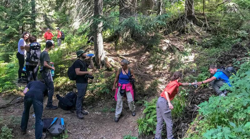 WILDArt Synevyr - 17818.JPG