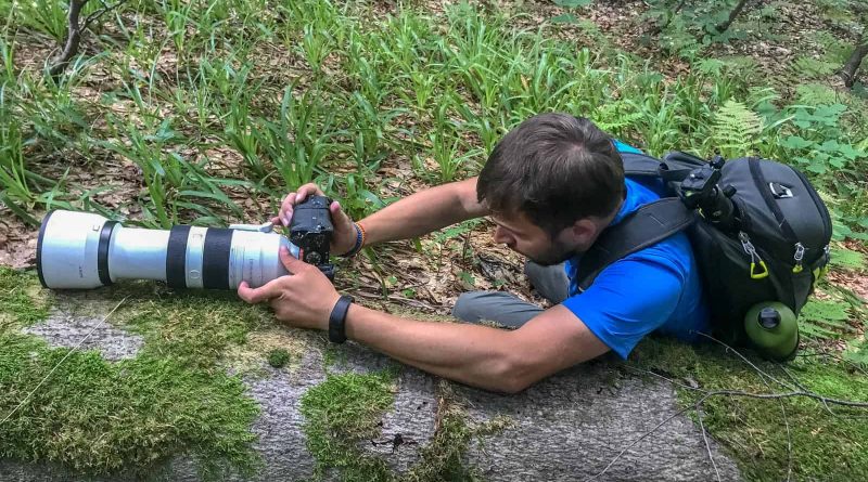 WILDArt Synevyr - 17354.JPG