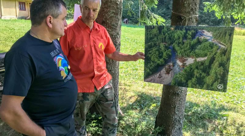 WILDArt Synevyr - 17773.JPG