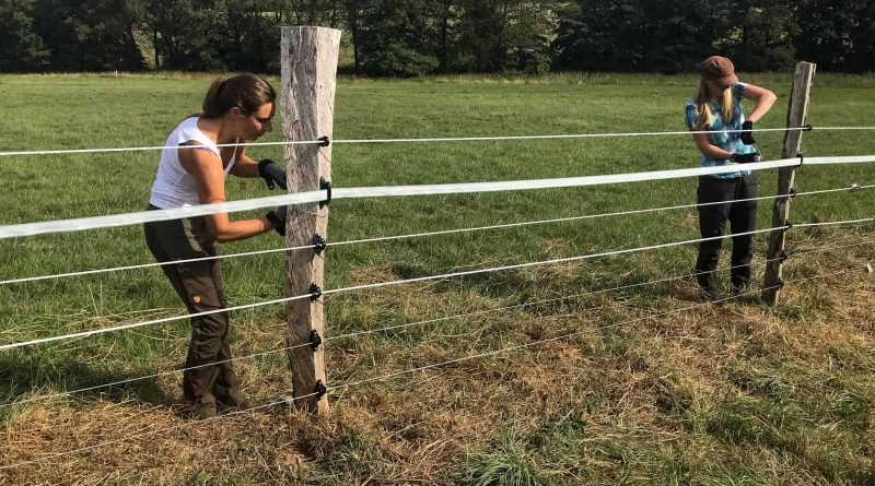 Livestock Protection Fencing-21656.HEIC