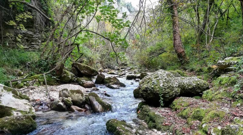 Majella Wilderness Audit 2018-20556.jpg