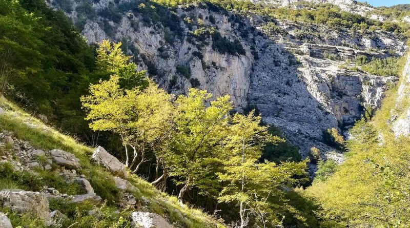 Majella Wilderness Audit 2018-21169.jpg