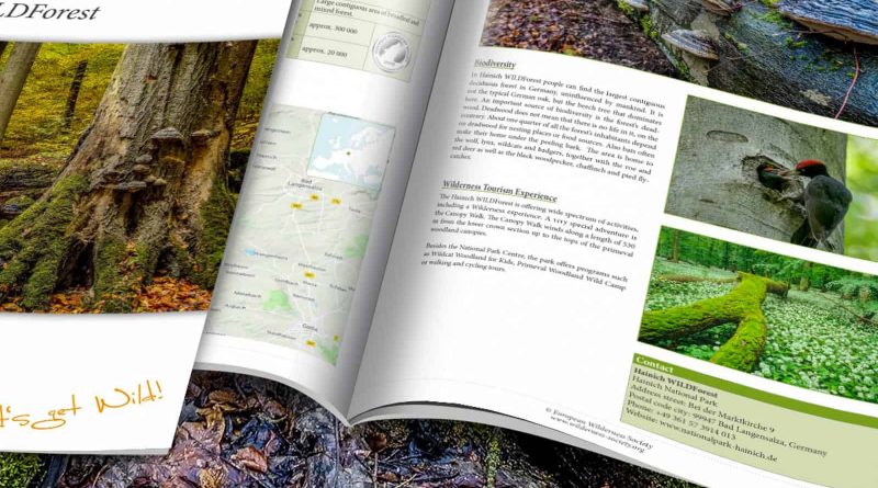 Hainich-WILDForest_Brief_2200x1057.jpg